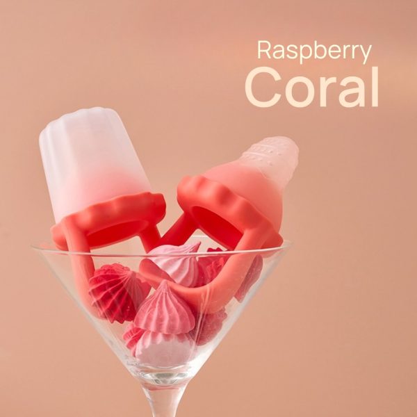 Easy Pop Baby Fruit Feeder Teether จุกผลไม้ (สี Raspberry Coral)